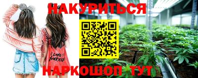 амф Гусь-Хрустальный