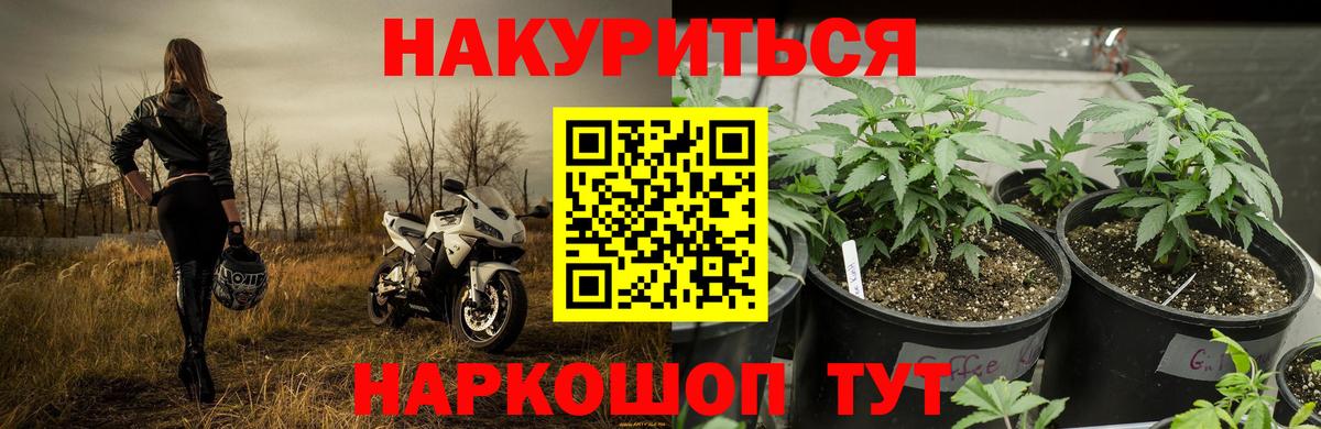 Канабис конопля Мичуринск